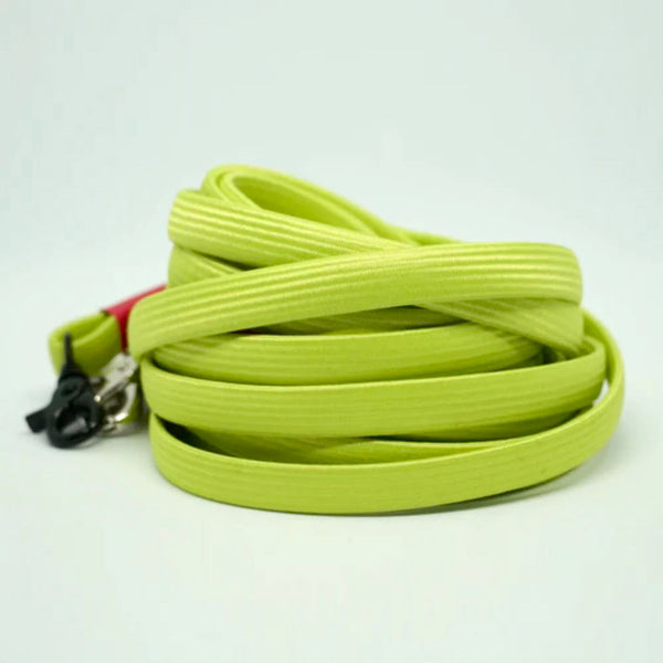 YoYo Leash For Small & Medium Size Dog (10Lbs 40Lbs) Readyman