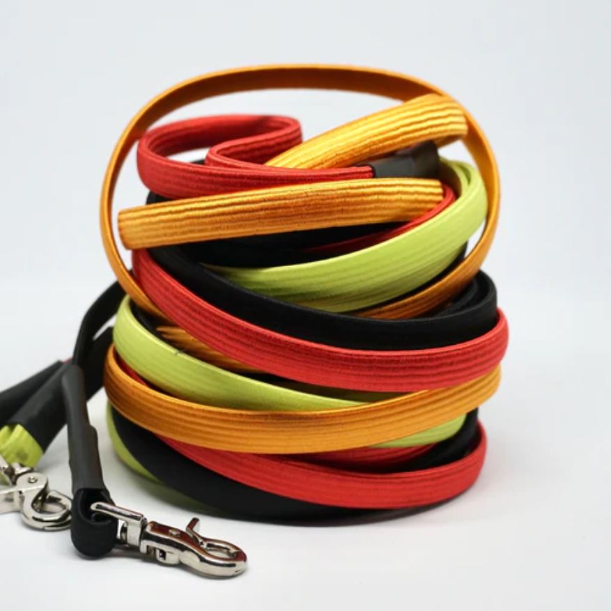 YoYo Leash For Small & Medium Size Dog (10Lbs - 40Lbs)